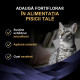 Purina Pro Plan Feline FortiFlora – Supliment Probiotic pentru Pisici – 30 Plicuri x 1 g